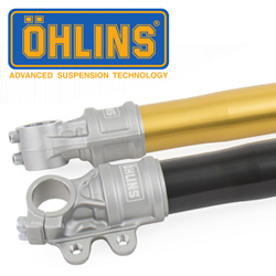 Ohlins Retro 43(FG620/621)- 43mm Conventional/RWU Forks 